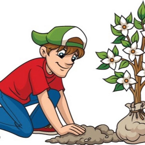 Рисунок посадка цветов