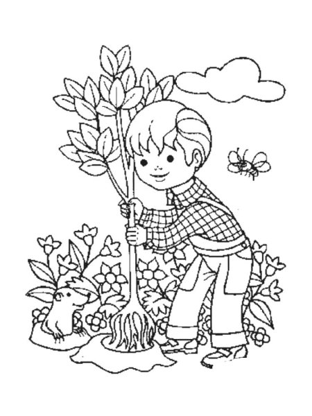 Экологические раскраски