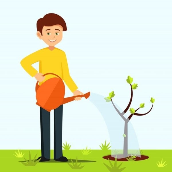 Мальчик поливает дерево