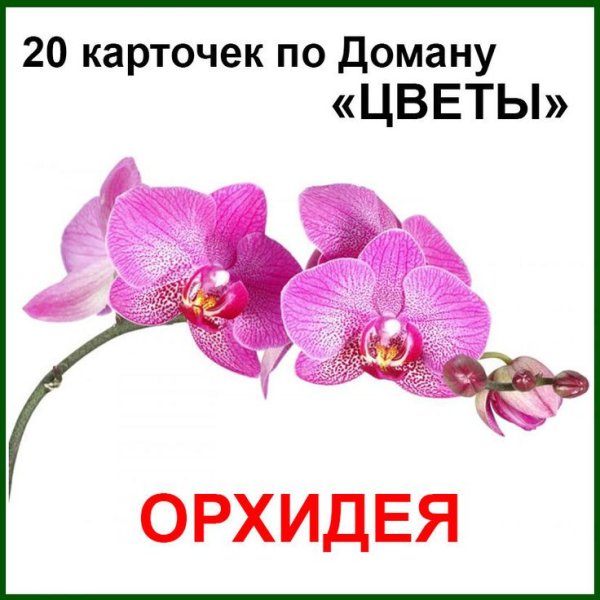 Карточки Домана цветы
