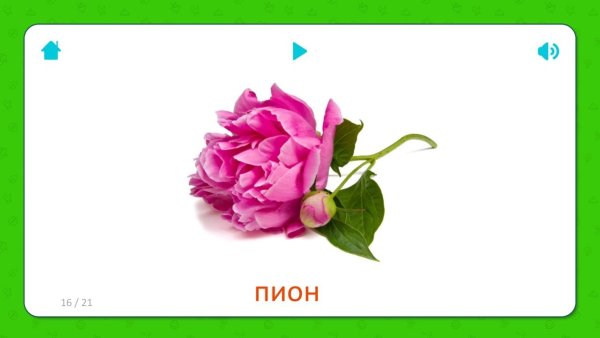 Тюльпан карточка для детей