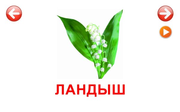 Карточки роза цветок для детей