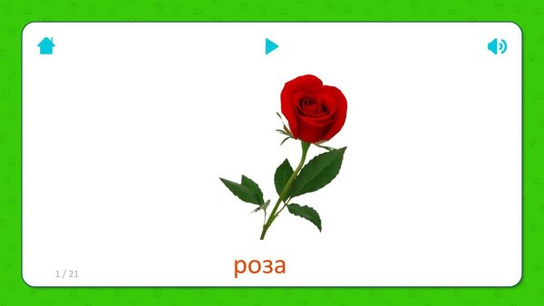 Карточки Домана цветы полевые