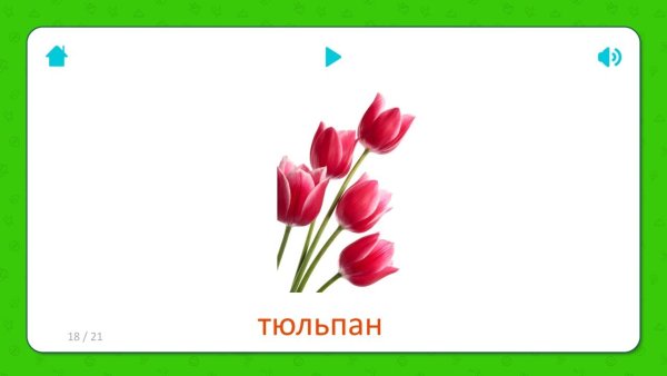 Карточки Домана для малышей цветы