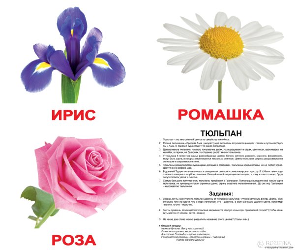 Карточки Домана цветы полевые