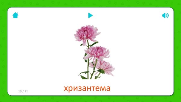 Цветы карточки для детей