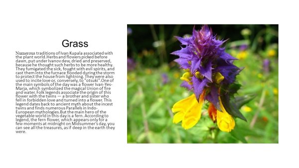 Карточки Домана цветы растения