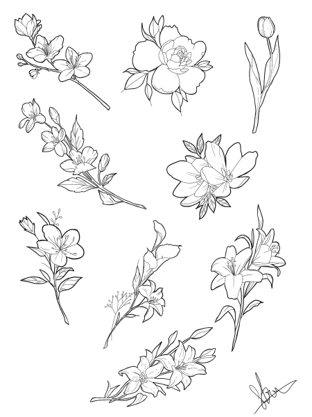 Зарисовки мелких растений