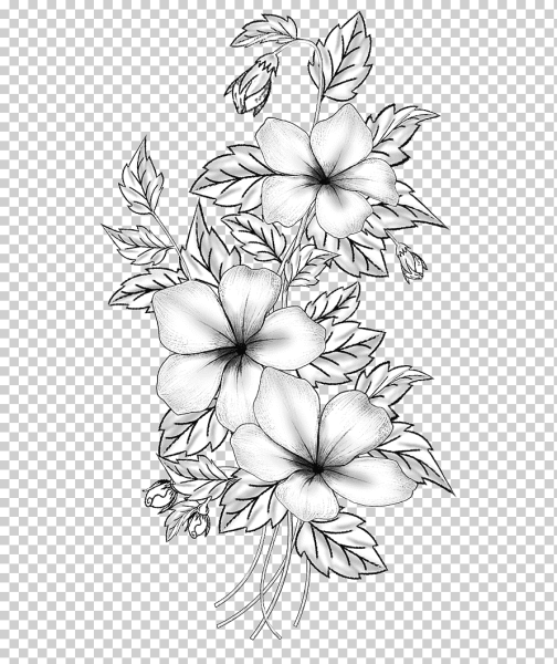 Эскизы цветов для рисования