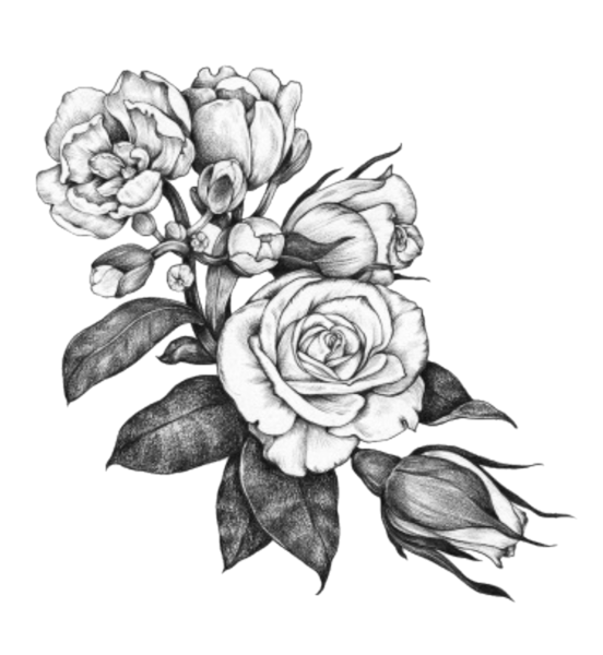 Растения эскиз с натуры