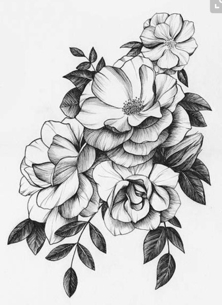 Цветы Графика