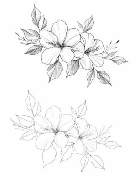 Цветы карандашом