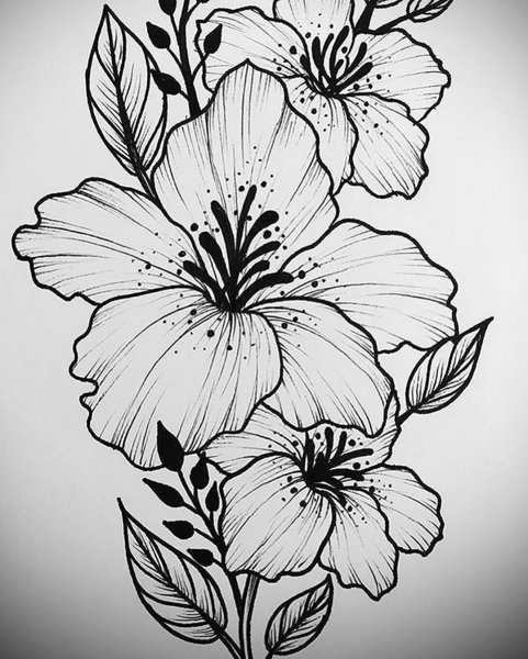 Цветы рисунок эскиз