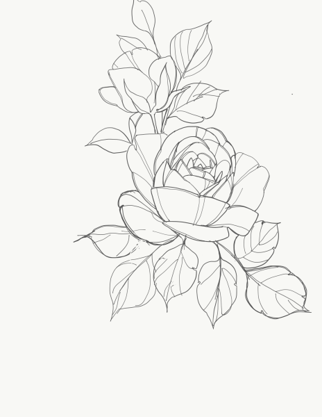 Бутон розы карандашом