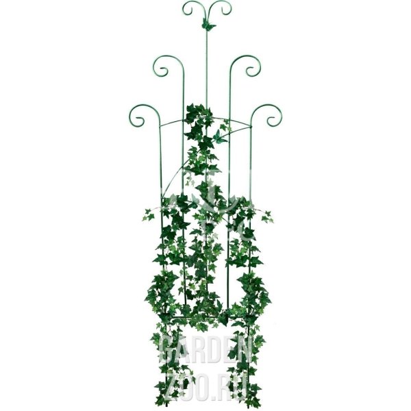 Шпалера для розы плетистой