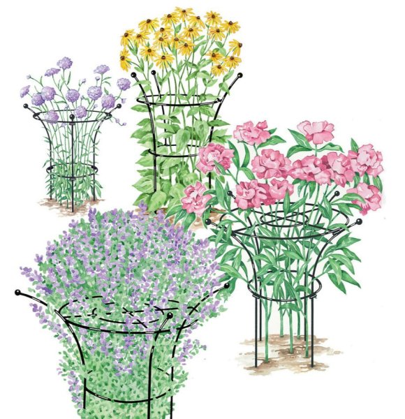 Необычные шпалеры для цветов