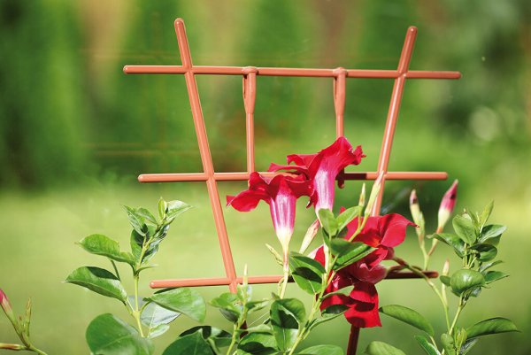 Арка Садовая Park hf0014