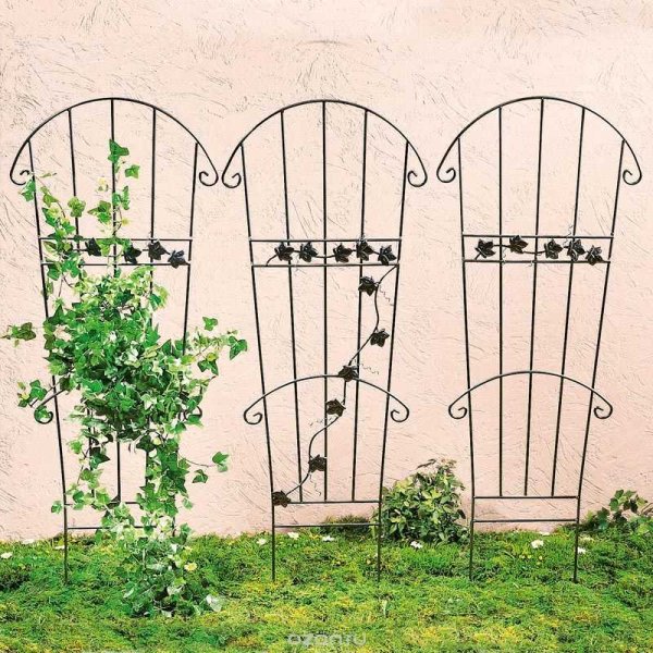 Опоры для вьющихся растений