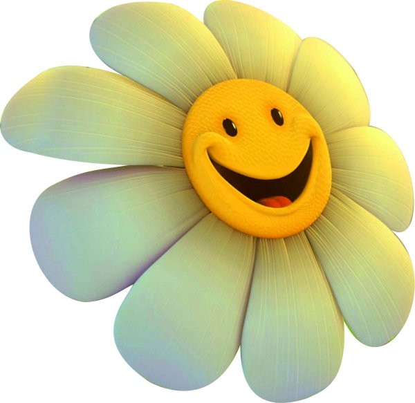 Ромашка улыбается