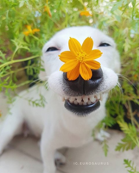 Солнце улыбка