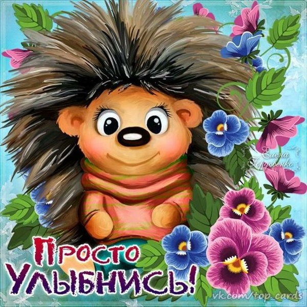 Прикольные открытки