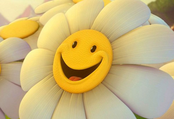 Цветы просто так