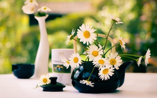 Доброе утро ромашки и кофе