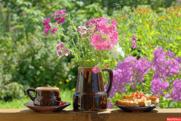 Полевые цветы на веранде