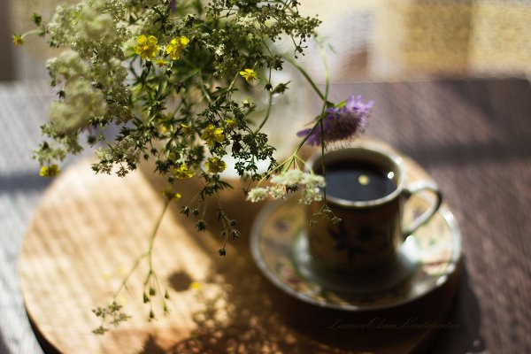 Букет полевых цветов и кофе