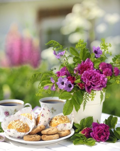 Утро лето цветы