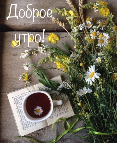 Полевые цветы и кофе