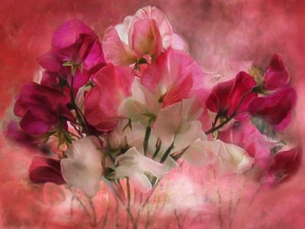 Кэрол Каваларис картины цветы