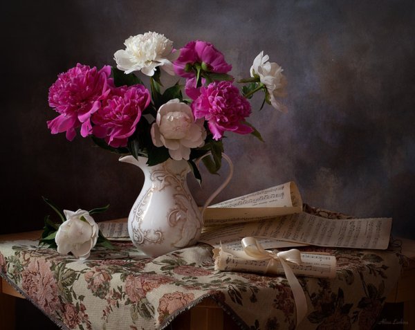 Алина Ланкина Фотонатюрморты