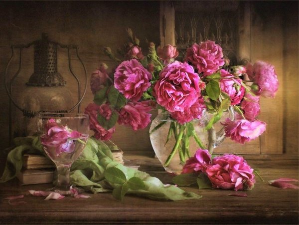 Луиза Гельтс фотограф