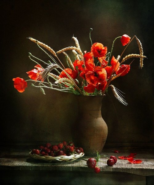 Марина Володько фотограф натюрморт