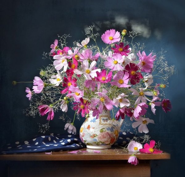 Фотонатюрморты Елены Панковой