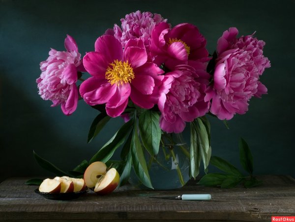 Пионы гиперреализм