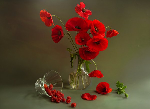 Красивые маки в вазе