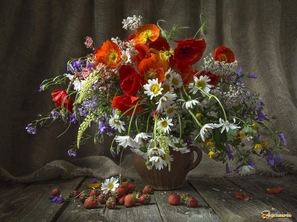 Людмила Костюченко Фотонатюрморты