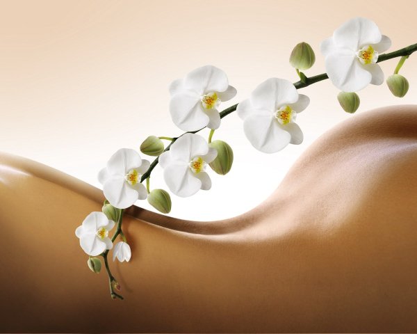 Фон для прайса шугаринга