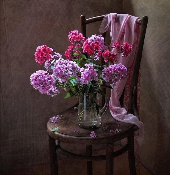 Натюрморт с флоксами