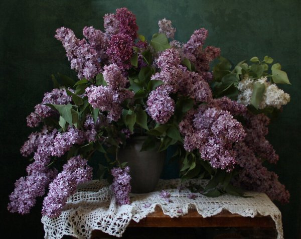 Натюрморт Марина Филатова фотосайт