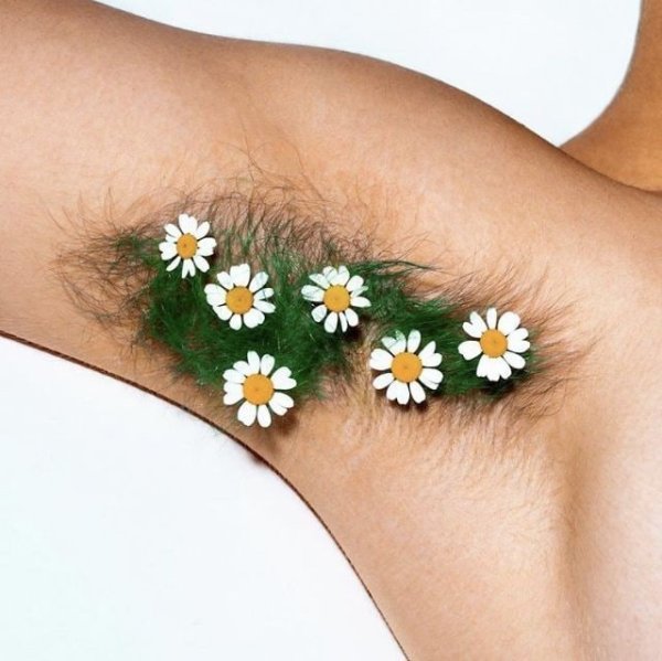 Женские ноги