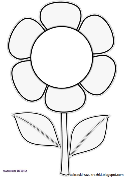 Раскраска цветы крупные простые