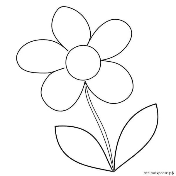 Цветы. Раскраска для малышей