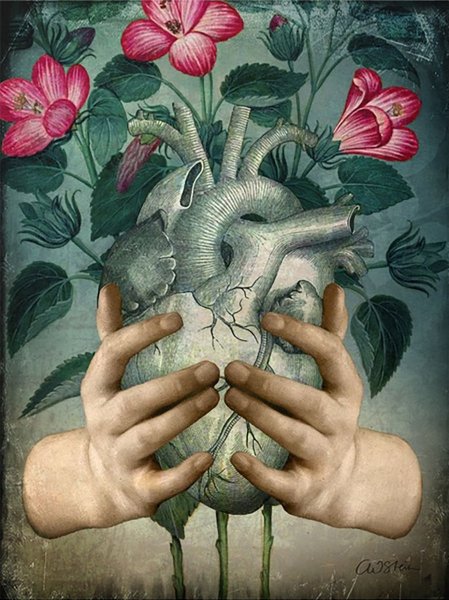 Сюрреализм Катрин Вельц - Штайн