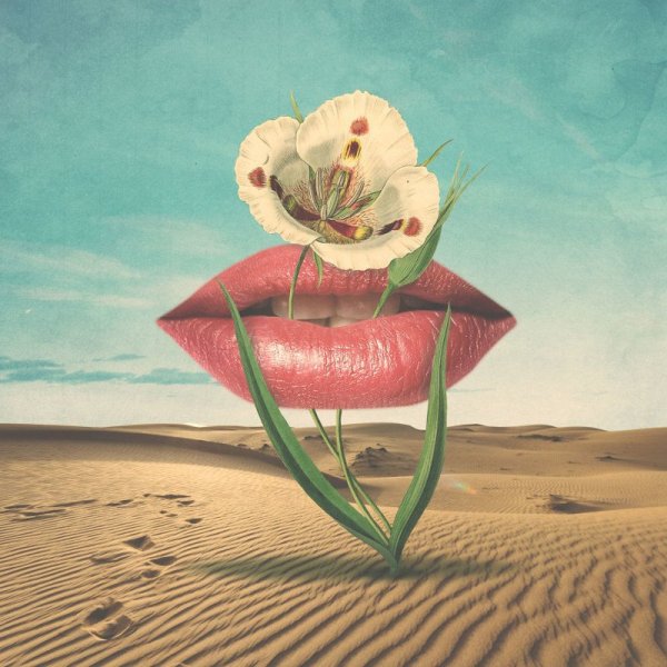 Сюрреализм цветы