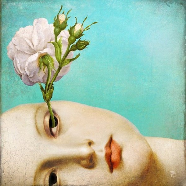 Сюрреализм цветы