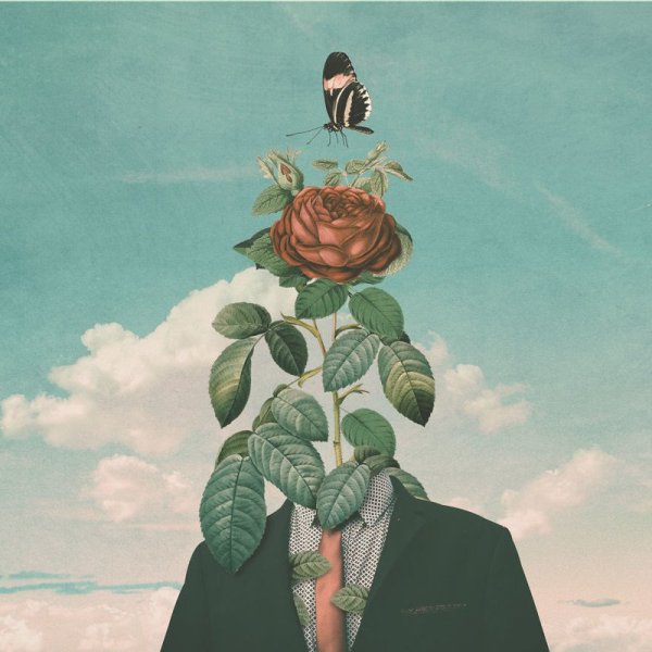 Розы сюрреализм