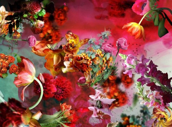 Изабель менин